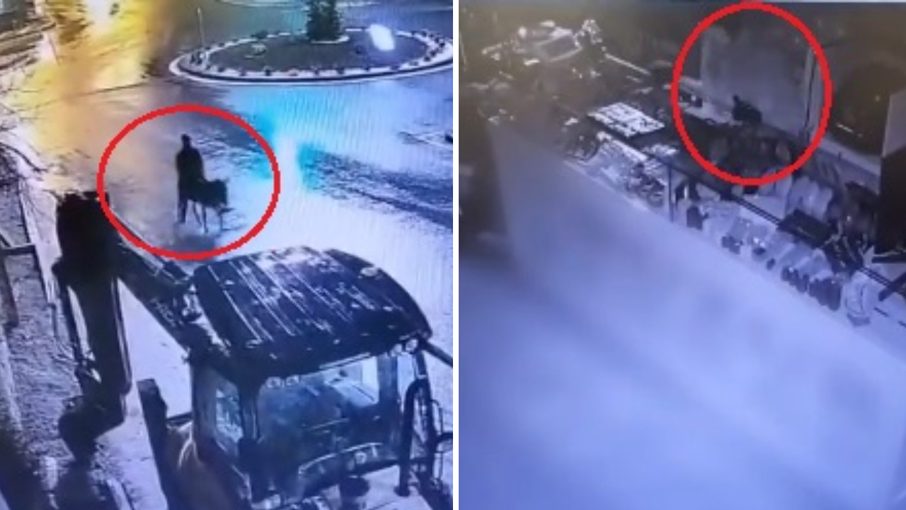 Kayseri'de eşekle kuyumcu soyan sanığa 9 yıl 7 ay hapis