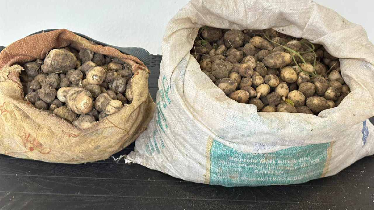 Toplayıp çuvallara doldurdular: Milyonlarca lira ceza yediler