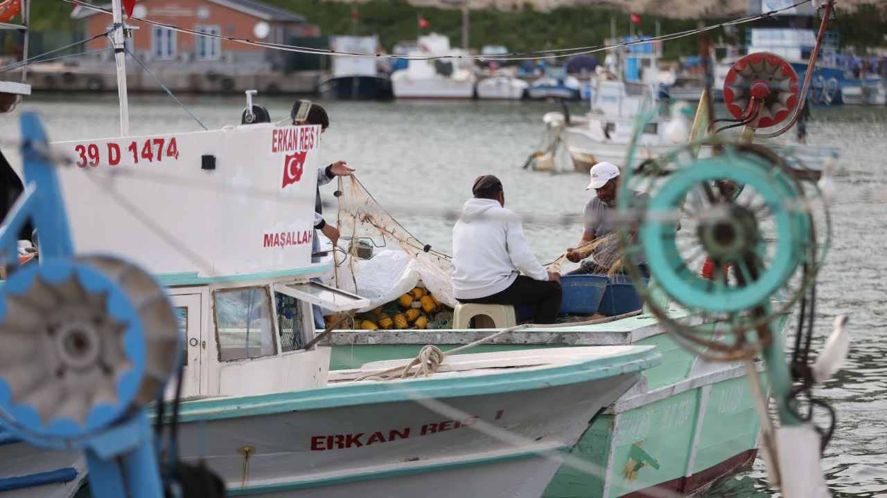8 ilden Kırklareli'ye akın ettiler! 16 bin ton hamsi avlandı