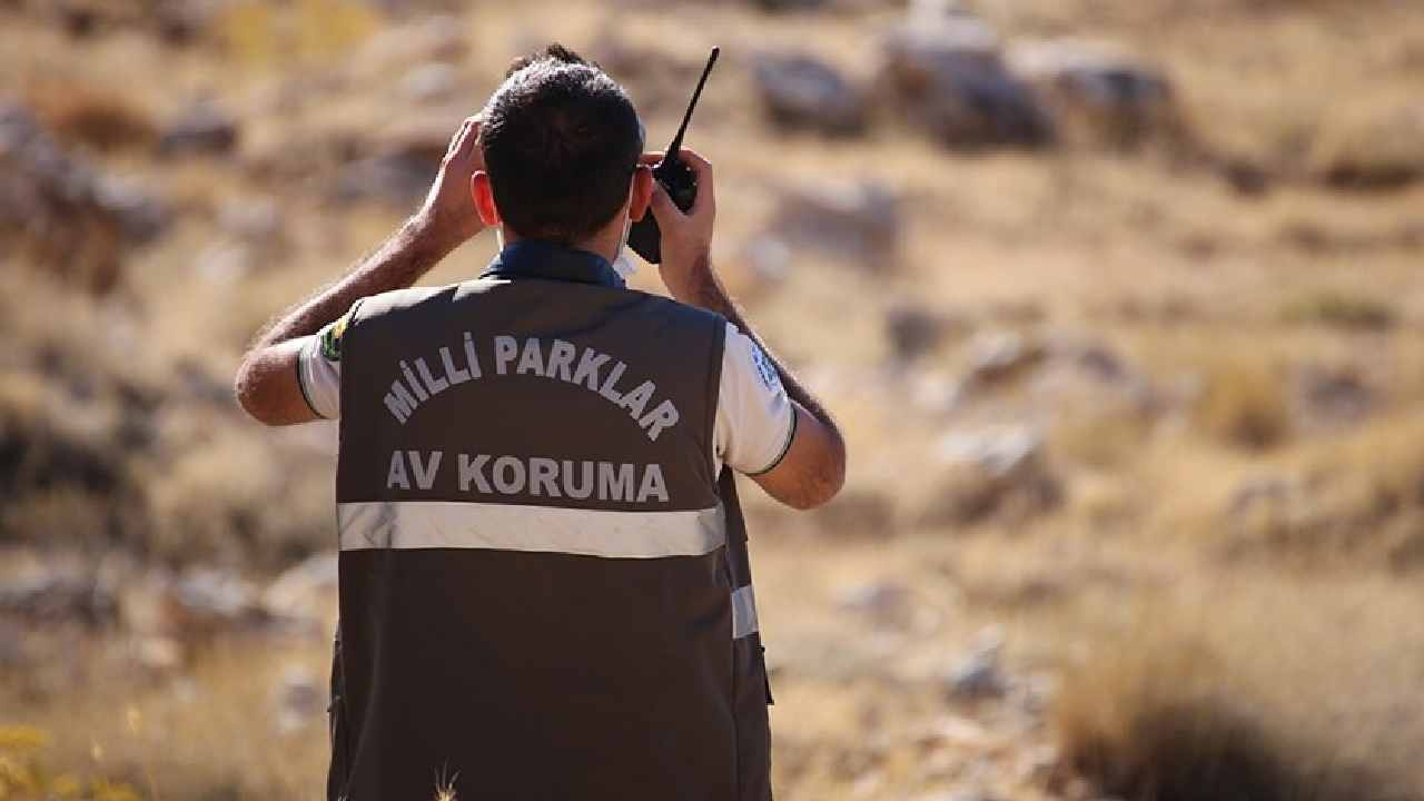 Doğa Koruma ve Milli Parklar Genel Müdürlüğü personel alacak! Başvuru tarihleri belli oldu