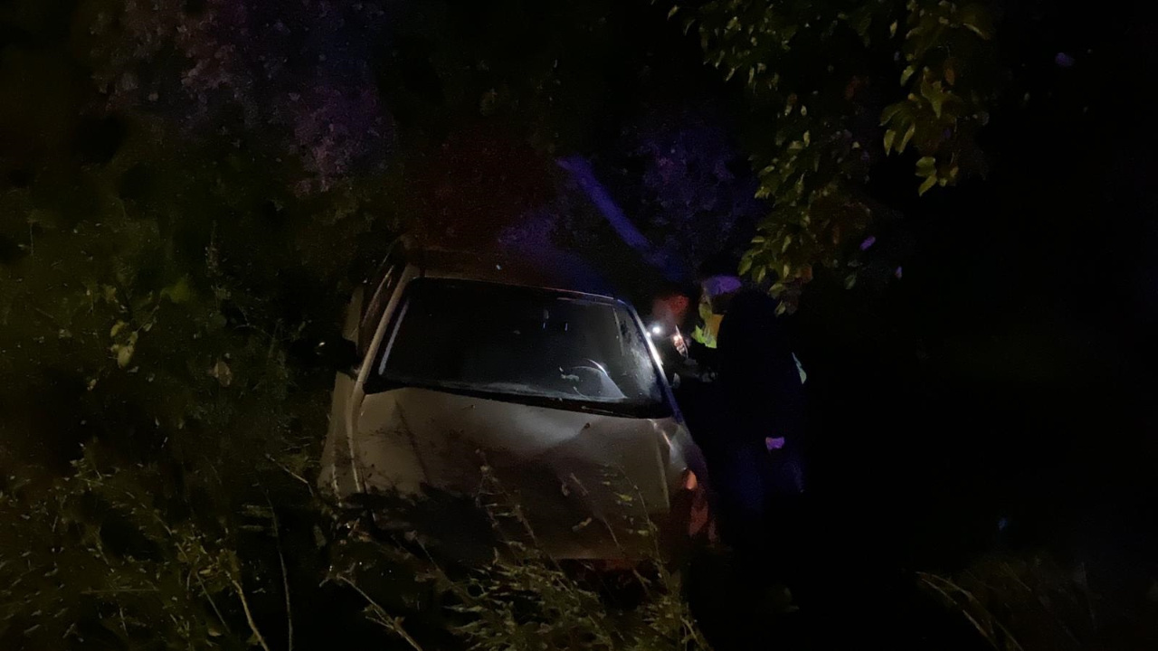 İznik'te otomobil zeytinliğe uçtu: 2'si çocuk 4 yaralı