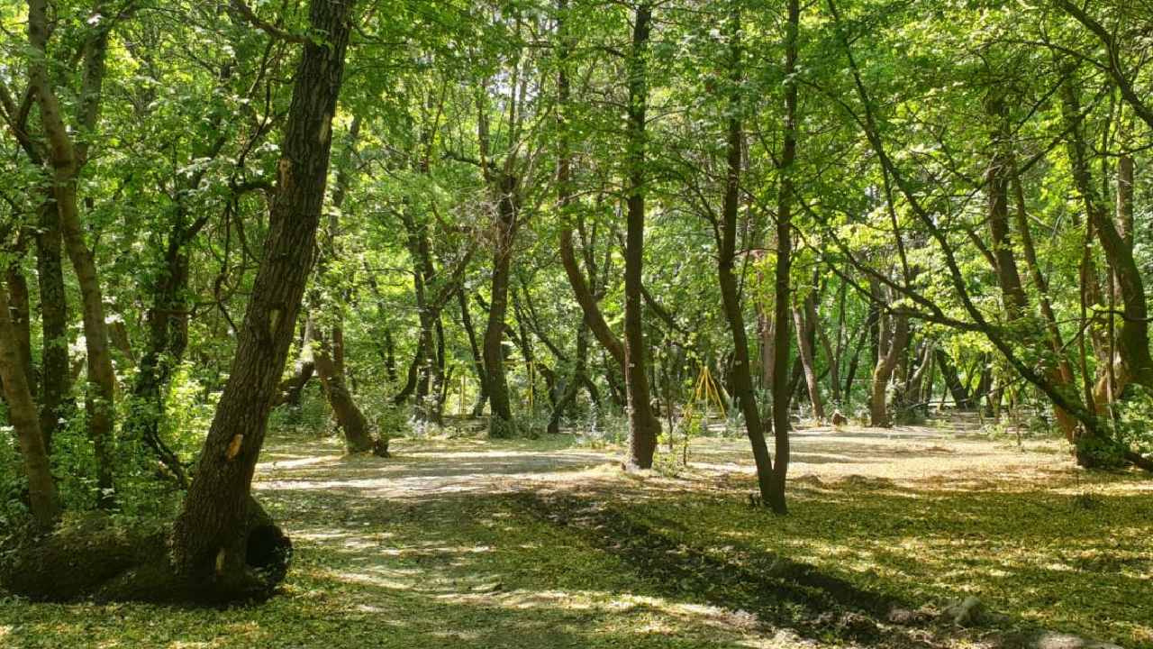 İstanbul'da ormanlara giriş yasağı başlıyor: Valilik açıklad