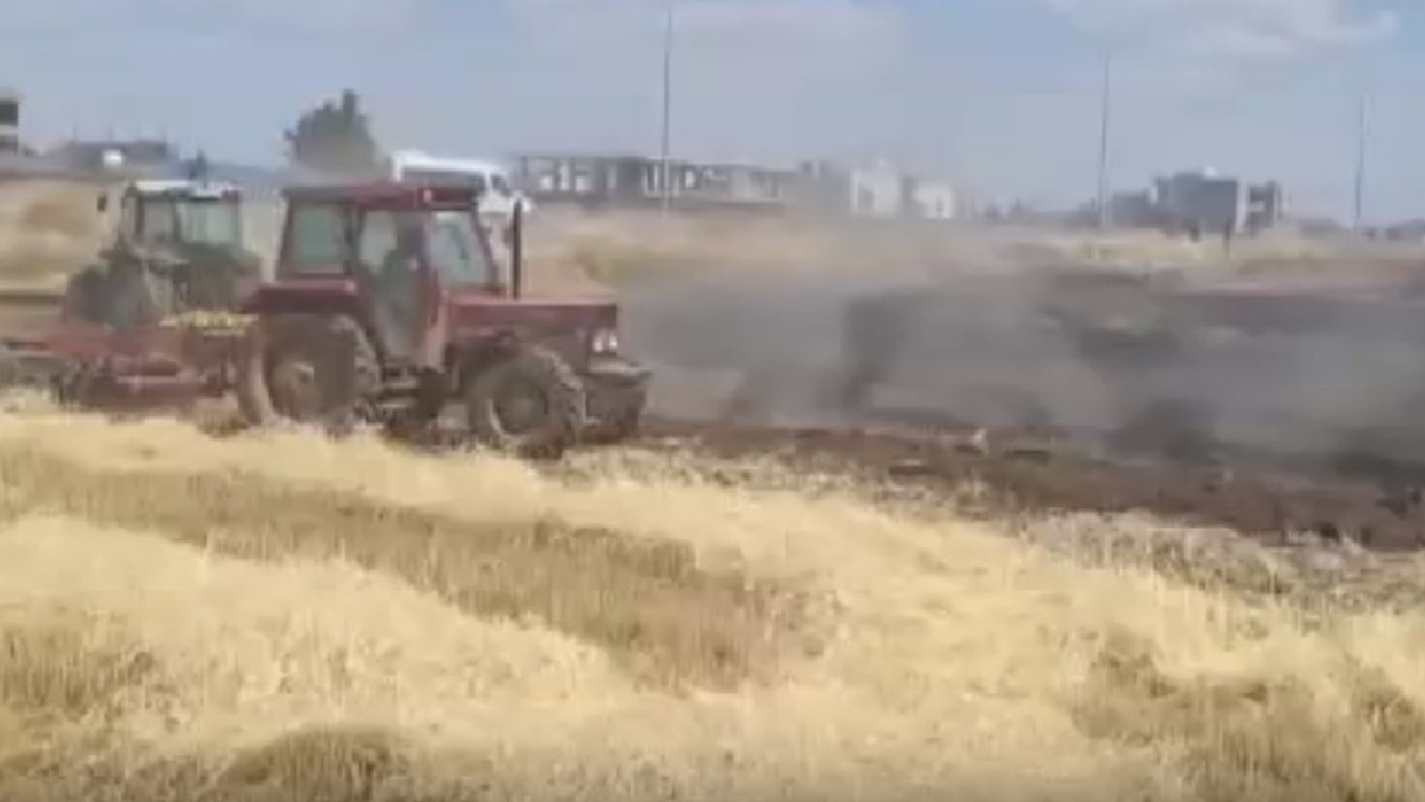 Tarlada yangın çıktı! 80 dönüm buğday kül oldu