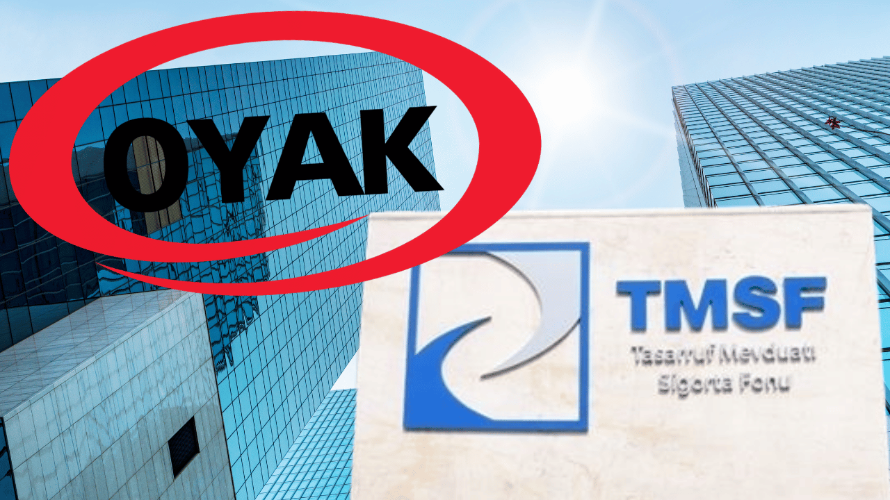 TMSF tarafından el konulmuştu: Dev holding hissele