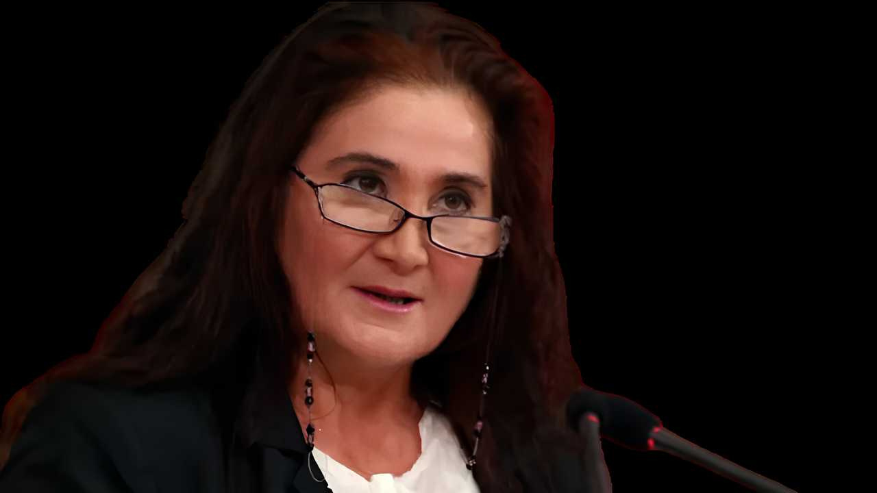 Sabahat Akkiraz'dan "Butlancılar" çıkışı: "Geldiğiniz gibi g