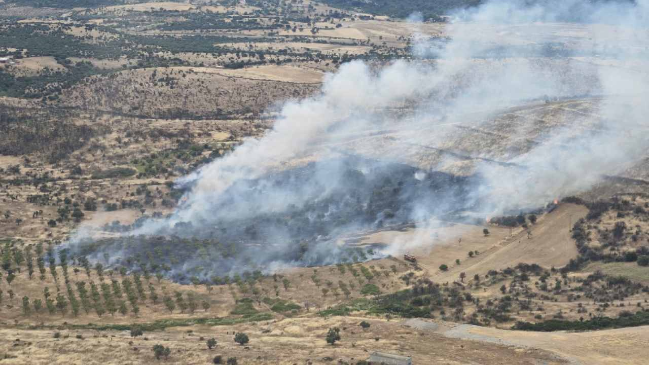Son dakika | Çanakkale'de orman yangını: Havadan ve karadan müdahale sürüyor