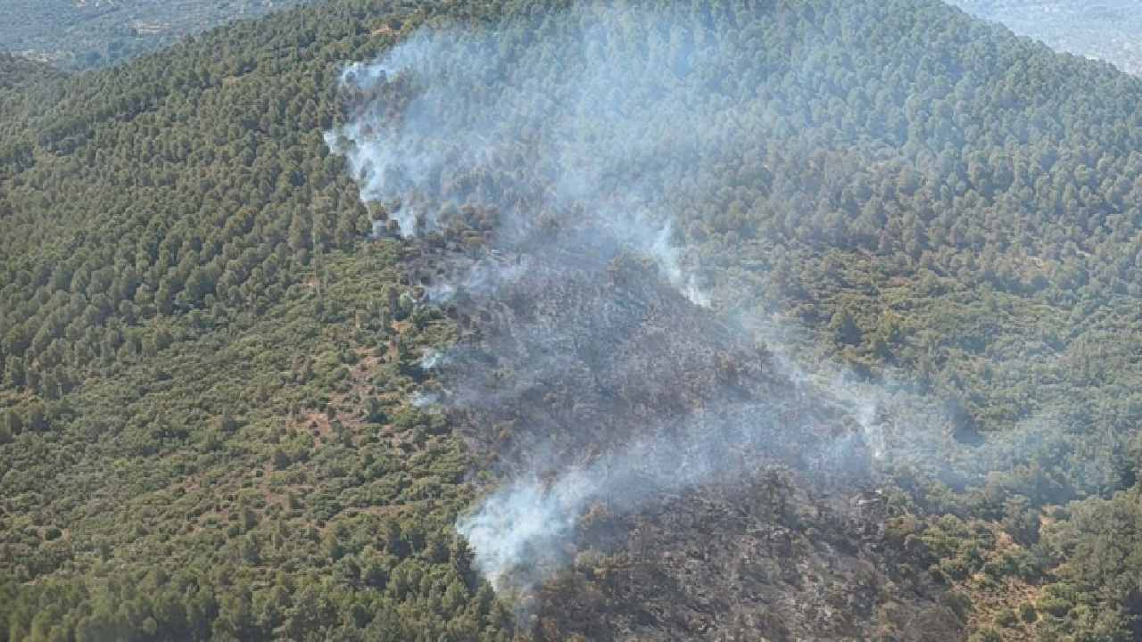 Son dakika | Balıkesir'de orman yangını
