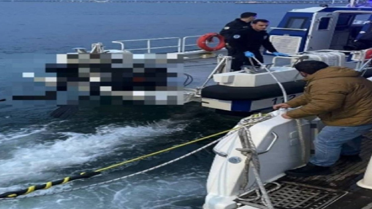 Rumen dalgıç cesedinin sırrı çözüldü: Gemideki uyuşturucu zulasının peşindeymiş!