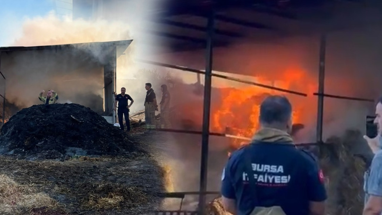 Bursa'da korkutan çiftlik yangını! 4 büyükbaş hayvan öldü, binlerce saman kül oldu