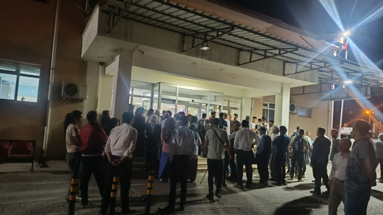 Hayvanlar geri geldi, o gelmedi: Diyarbakır'da acı olay