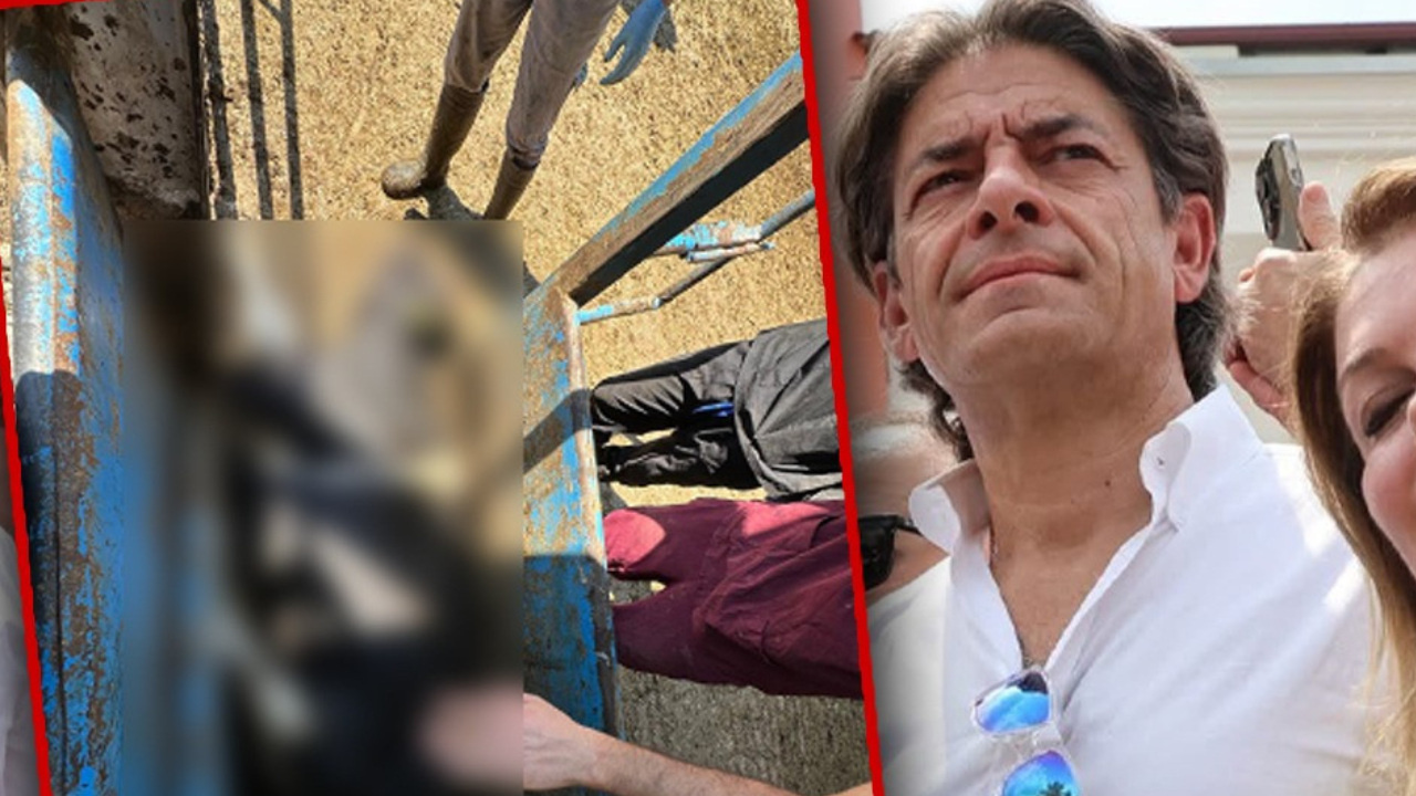 Bakanlık "ezilerek hayvan öldürüldü" iddiasını reddetti, Sencer Solakoğlu ateş püskürdü