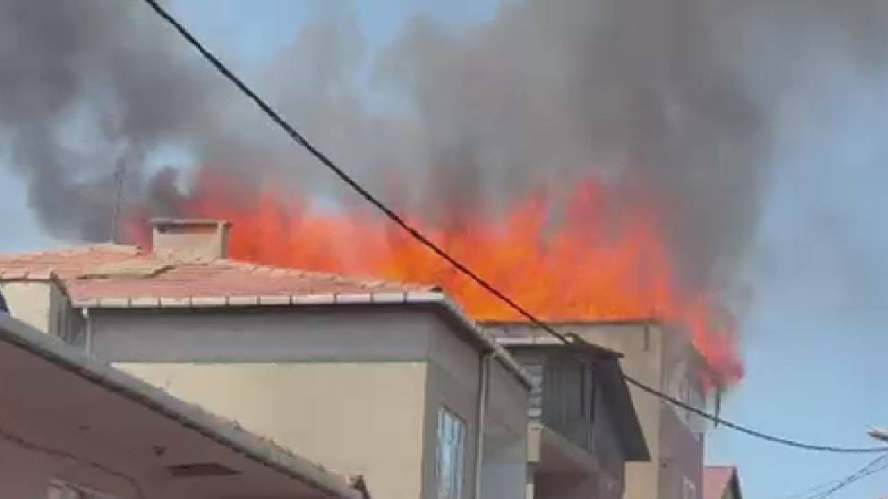 Son Dakika | Pendik’te 5 katlı binada yangın! Çok sayıda itfaiye sevk edildi