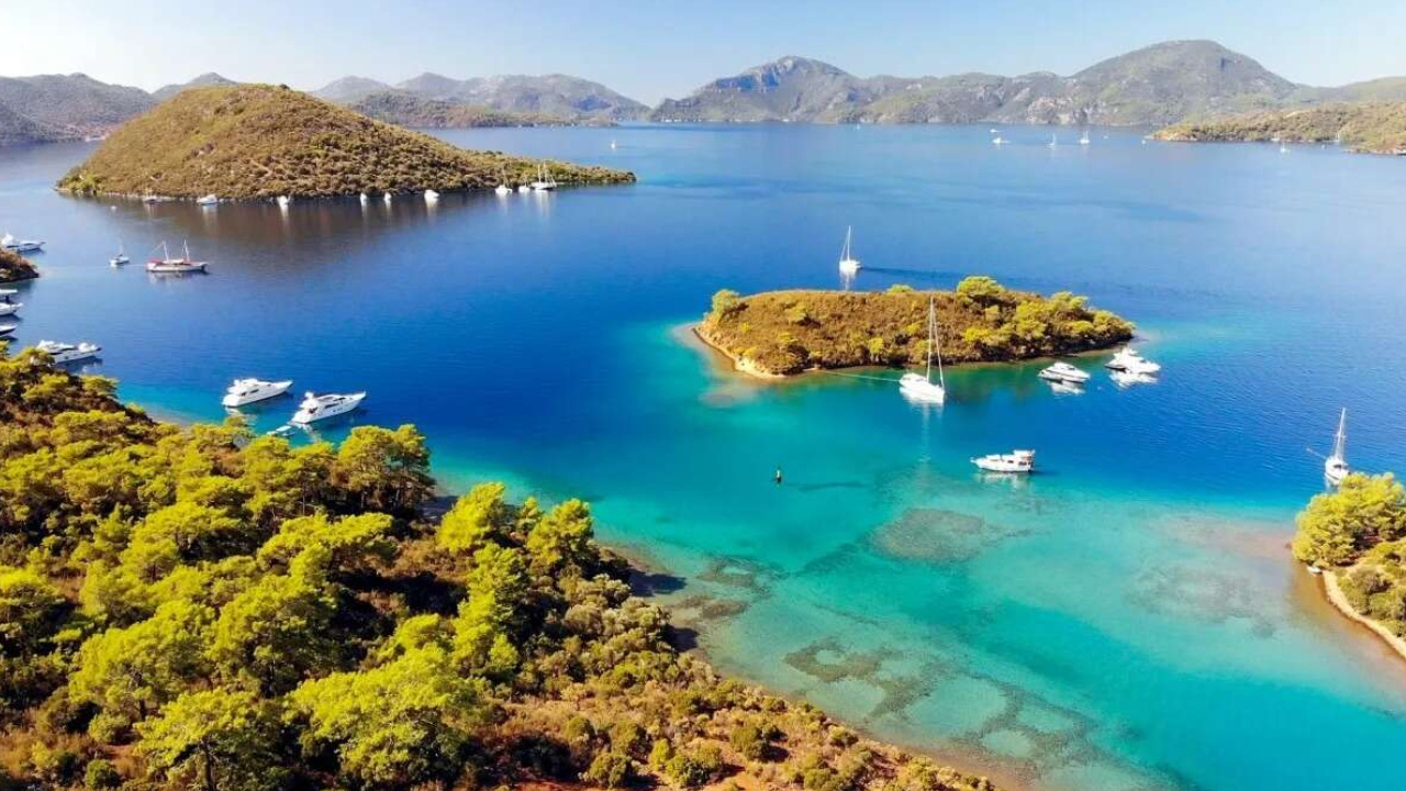 Göcek'ten başlayıp Türkiye'nin bütün koylarını bitirecek! Denizdeki büyük kriz mahkemelik oldu