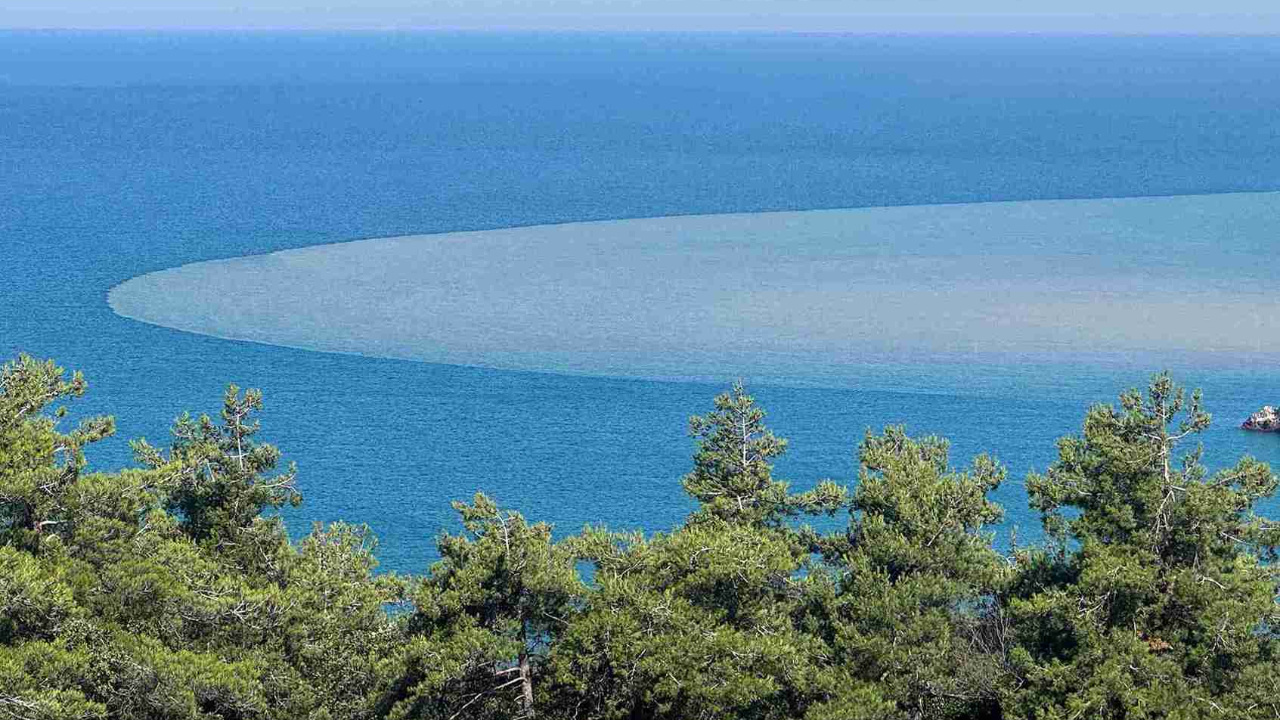 Bartın'da şaşırtan görüntü! Denizin rengi bir gecede değişti