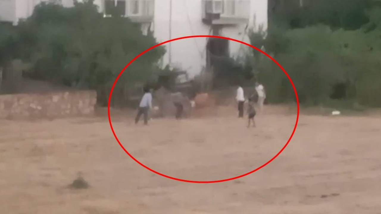 Kaçan inek sahibini yere serdi: O anlar saniye saniye kaydedildi