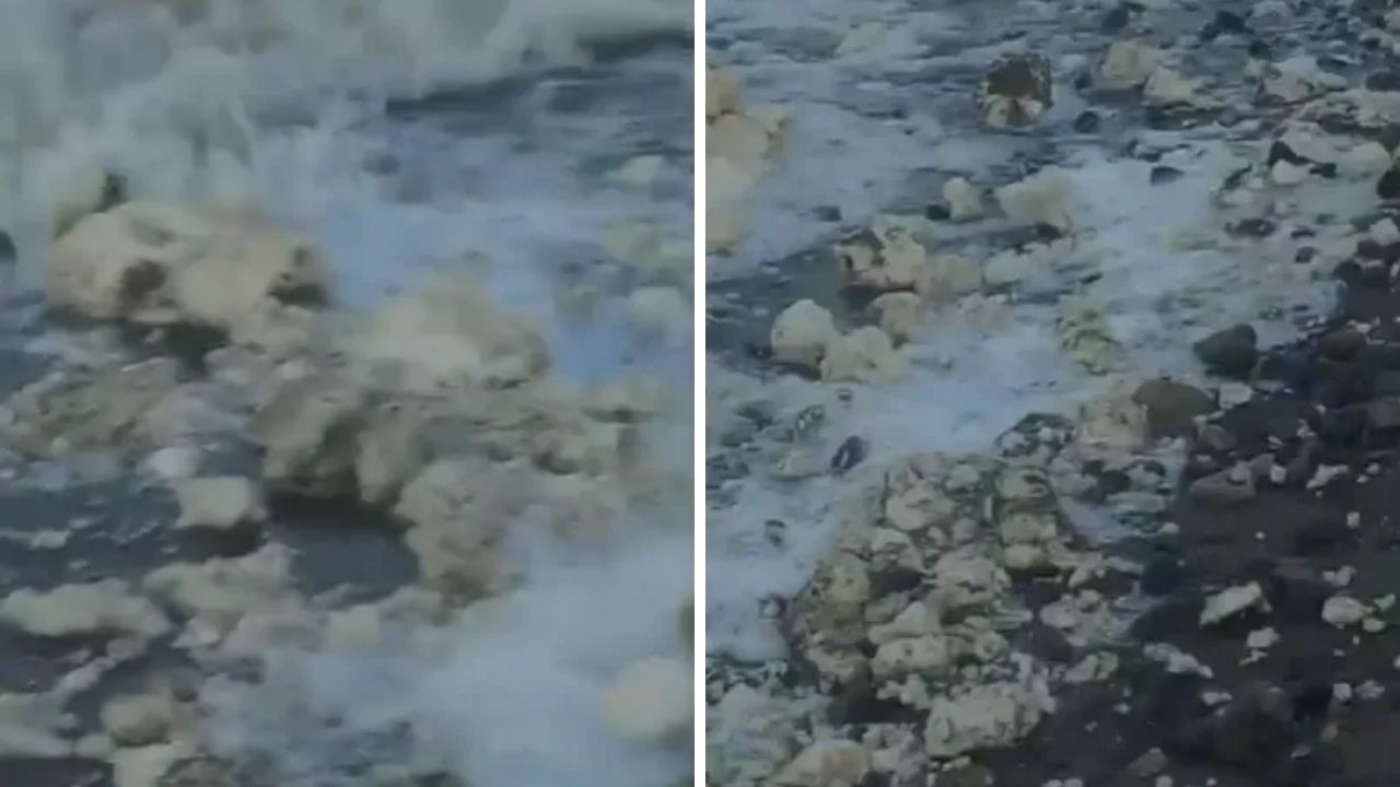 Samsun sahil ne olduğu belirsiz beyaz madde ile kaplandı! AFAD devreye girdi... Korkutan ihtimal