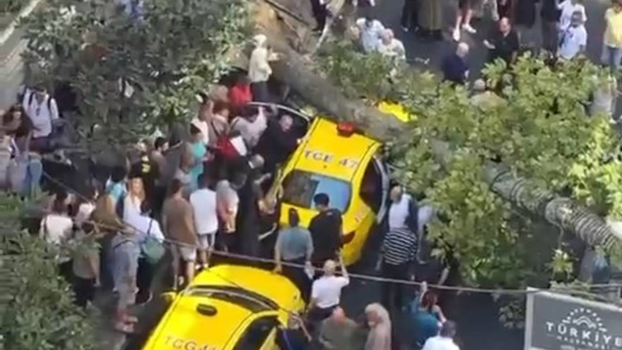 Şişli’de ölümden döndüler! Devrilen ağaç 2 aracın üzerine düştü yol kapatıldı