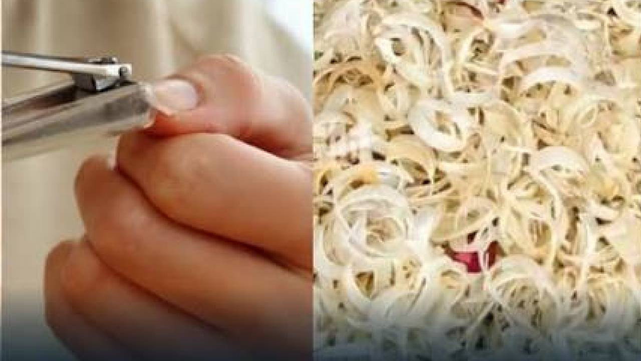 17 yıldır biriktirdiği tırnakları satışa çıkardı: Fiyatını duyanlar gözlerine inanamadı!