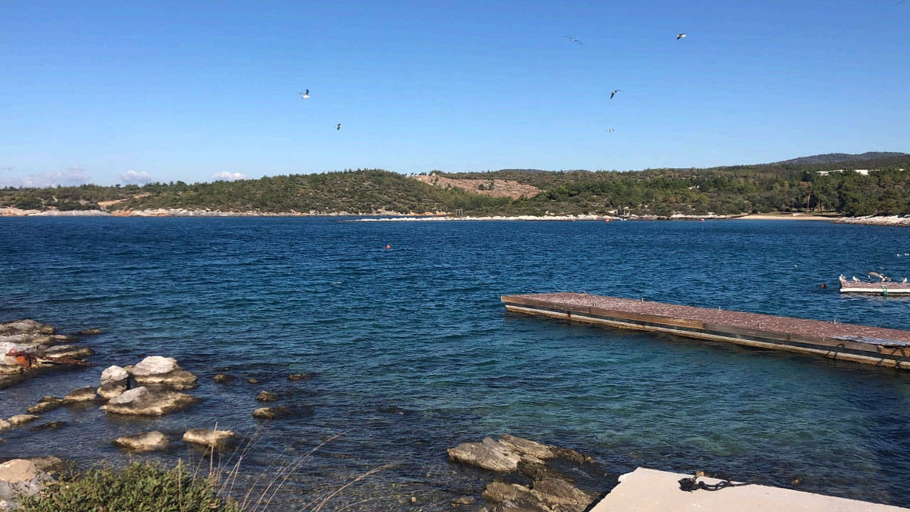 Milas kıyıları özel projeye tahsis edildi: Rezidansa özel marinaya ÇED onayı