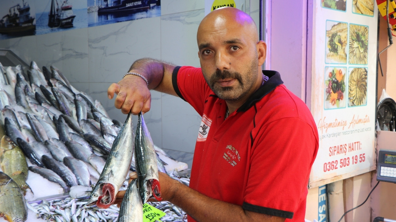 Samsun'da yasak bitti, tezgahlar şenlendi: Denizden balık fışkırıyor!