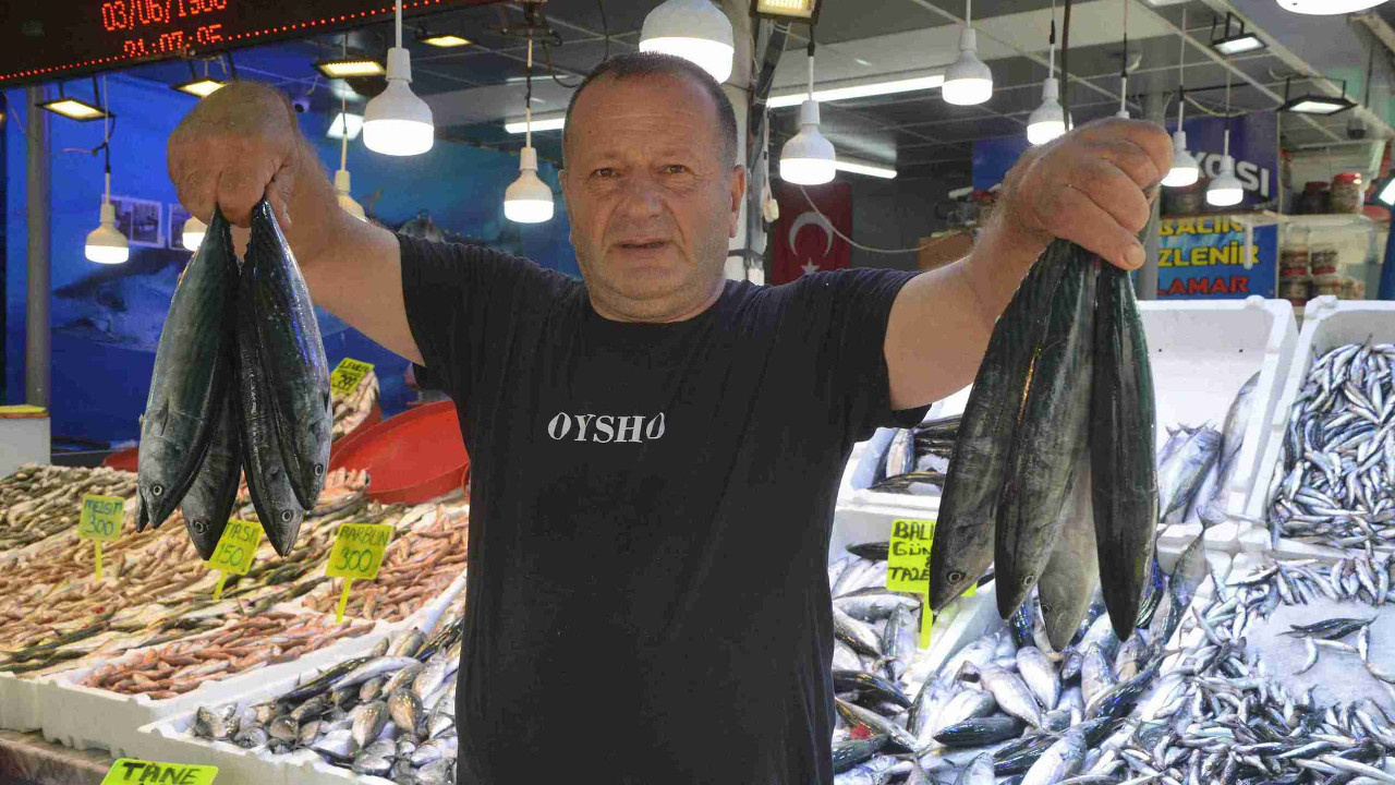 Balık sezonu açıldı tezgahlar doldu! 'Her çeşit var' dedi fiyatları tek tek açıkladı