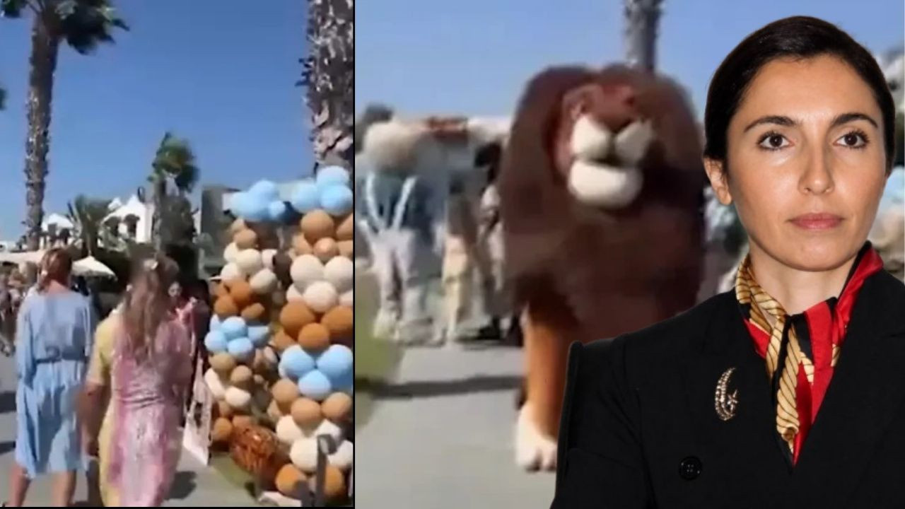 Komşularına terör estiren Hafize Gaye Erkan'ın oğluna yaptığı aşırı görgüsüz doğum günü partisi kameralarda