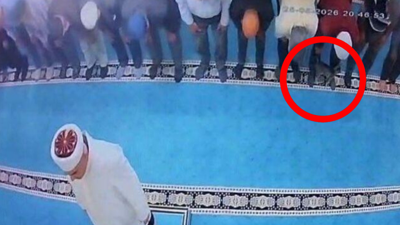 Camide namaz kılarken kedi tekmeleyen kişi gözaltına alındı