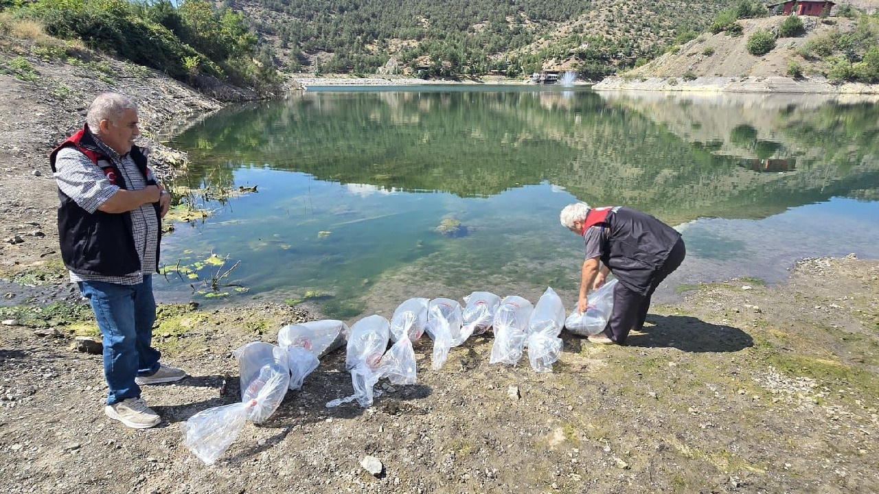 Poşet poşet getirip doğaya saldılar: Hayırlı olsun
