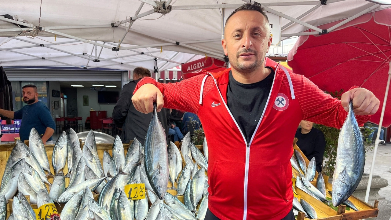 Karadeniz'de Rekor Palamut Avı: Bir Ayda Bin Ton Balık Limanlara Döndü, Fiyatlar 100 Liraya Düştü