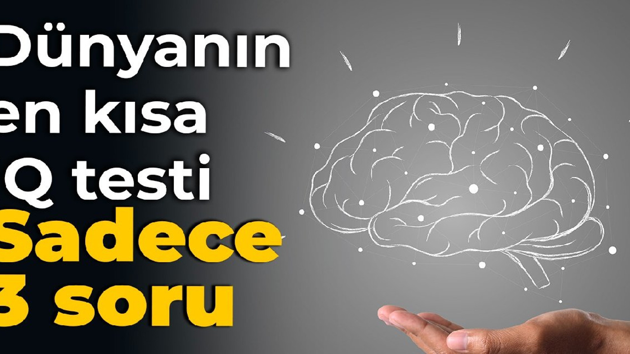 Dünyanın en kısa IQ testi: Sadece 3 soru