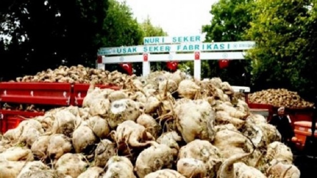 Seker Reklami Uşaklılardan şeker fabrikaları için imza kampanyası