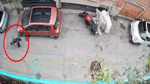 Kucağındaki kediyi yere vurdu! Çığlıları kamera kaydetti: Saldırgan gözaltına alındı