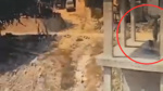 Yolda yürürken inşaata girdi, köpeği sopayla dövüp kaçtı! Soruşturma başlatıldı
