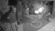 Gece yarısı bıçakla eve girdiler, 20 bin lirayı gasbettiler