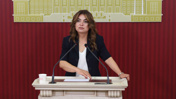 DEM Parti: Çerçeve yasa taslağının Öcalan'la görüşülmesi gerekiyor