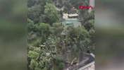 Son Dakika | İstanbul'da şiddetli fırtına: Ağaçlar devrildi