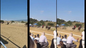 Taşköprü Sarımsak Festivali'nde korkunç kaza: 2 at öldü jokey yaralandı