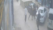 Darbedilen kadına yardım etmek isterken bıçaklandı
