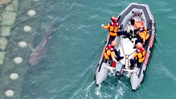Denizden çıktı şehre girdi, yarım milyondan fazla ziyaretçi akın etti: Tam 3,5 metre