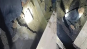 Kadife eşek depremde yıkılan ahırdan kurtarılmıştı! Sahibi: Dünyalar benim oldu