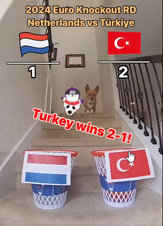 1-2.jpg