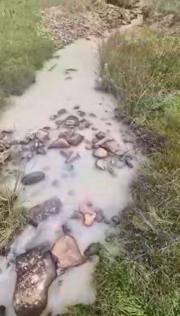 Karadeniz'in eşsiz yaylası ranta teslim oldu! Derelerden çamur akmaya başladı - Resim : 3