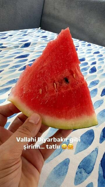 Ebru Yaşar Fransa'da dayanamadı: Diyarbakır'dan uçakla getirtti - Resim : 4