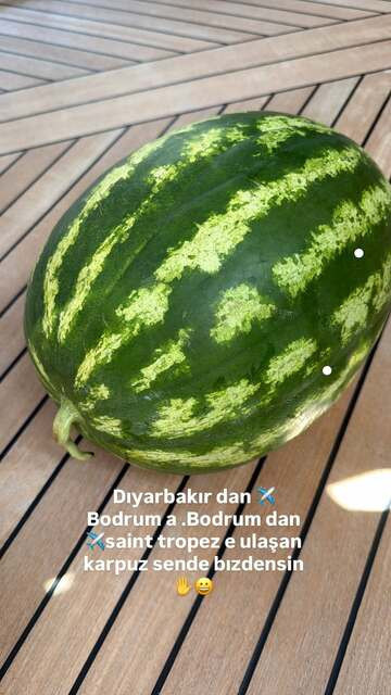 Ebru Yaşar Fransa'da dayanamadı: Diyarbakır'dan uçakla getirtti - Resim : 3