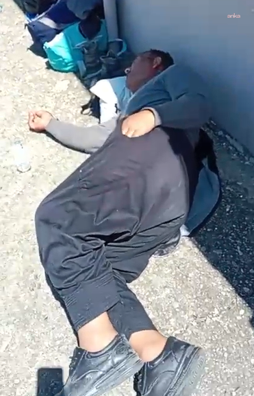 Rize'de 30 İranlı çay işçisi yevmiyesini isteyince darp edildi! 