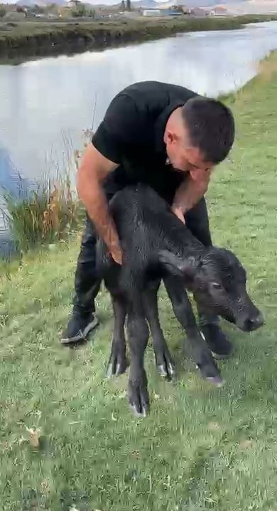 Devriye gezen belediye personeli suda çırpınan yavruyu son anda kurtardı - Resim : 1