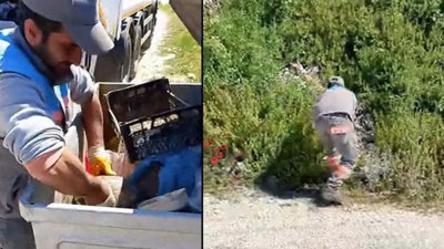 Çöpe atılan kaplumbağayı işçiler buldu: 'Caninin biri çöpe atmış!'
