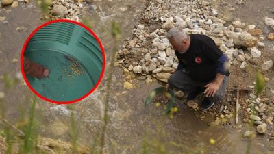 Akan suyla birlikte gram gram altın topluyorlar