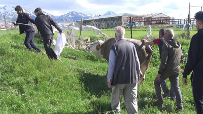 Kurban keserken kalp krizi geçirdiler! Bayramın ilk günü iki eve ateş düştü
