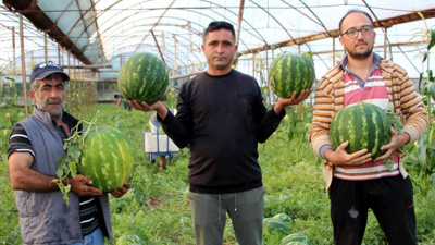 Tadı pamuk şeker gibi: Fiyatını bile sormadan alıyorlar, sadece bir mahallede üretilip satılıyor